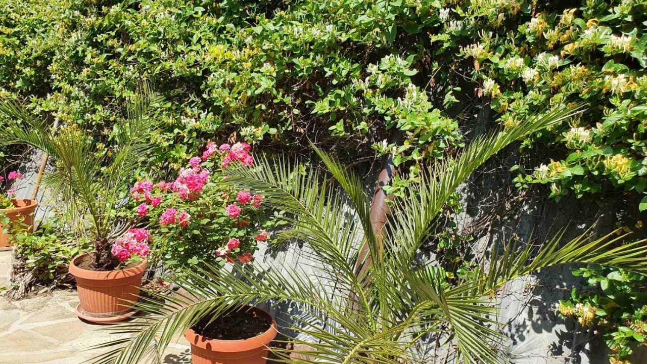Marianas Guesthouse ออบซอร์ ภายนอก รูปภาพ
